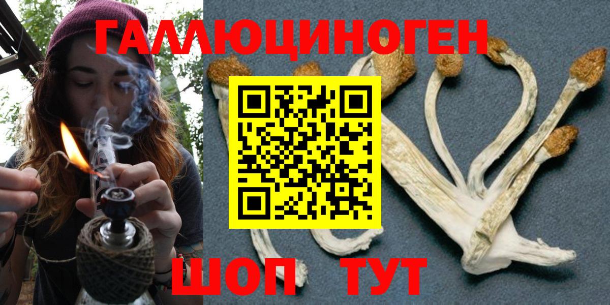 Галлюциногенные грибы мицелий Прохладный