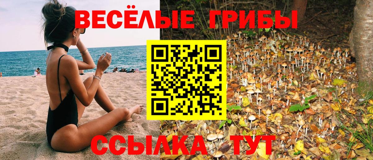 Прохладный  Галлюциногенные грибы Psilocybe  Вход с VPN  Псилоцибиновые грибы ЛСД 