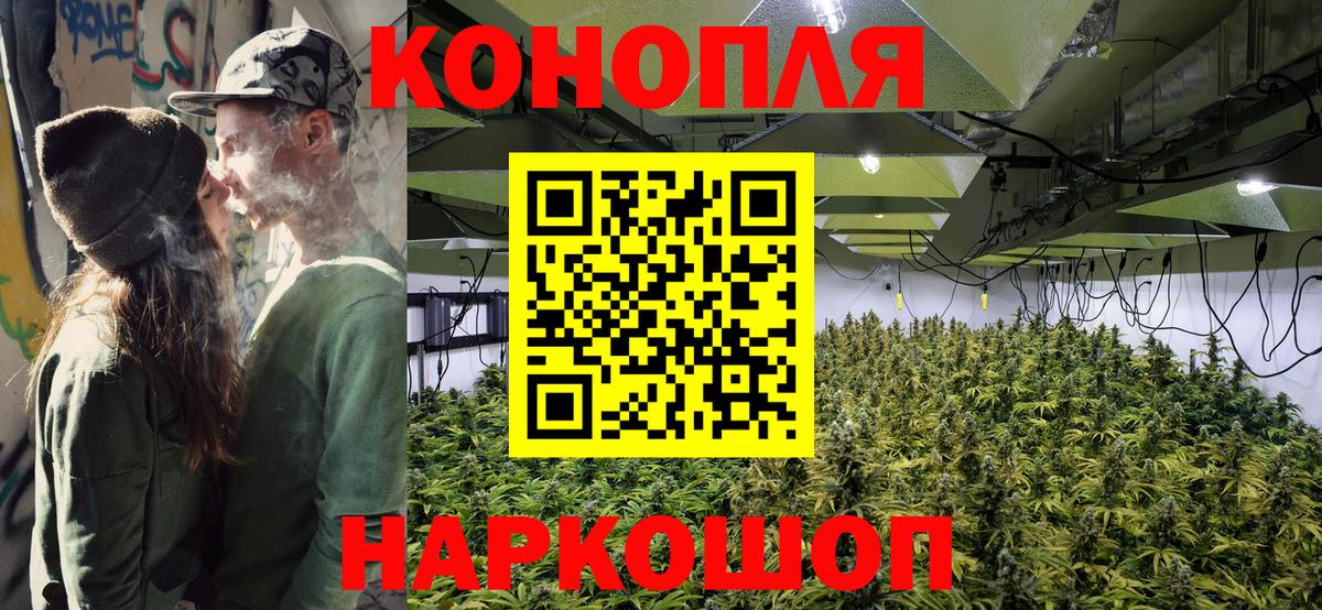 Бошки марихуана индика Прохладный